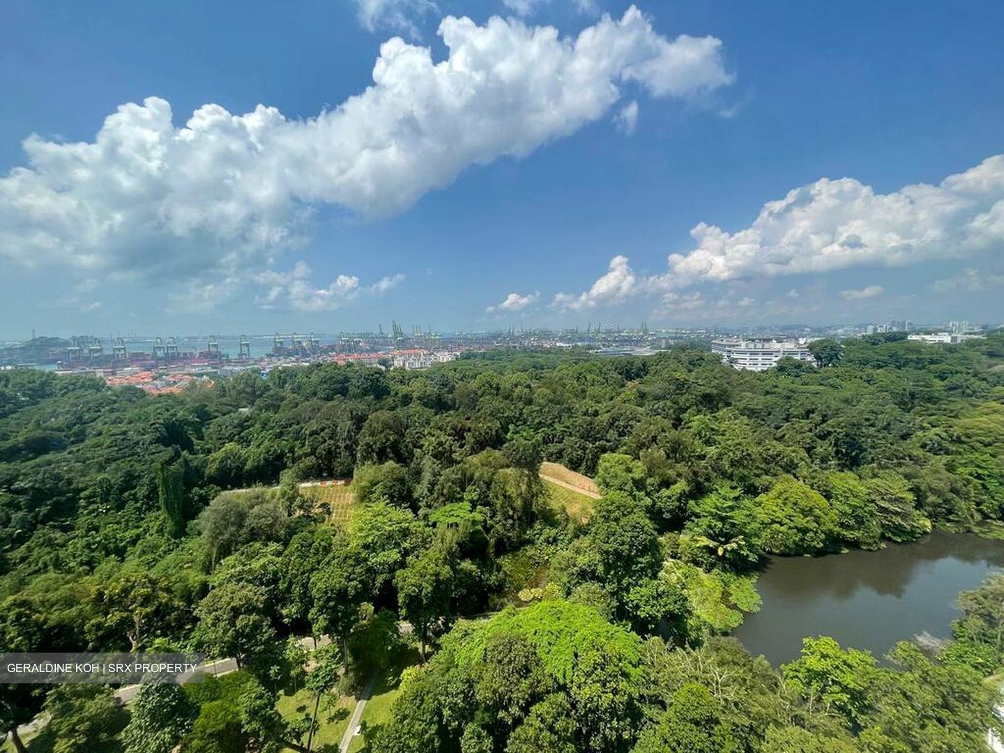 Normanton Park (D5), Apartment #498743721